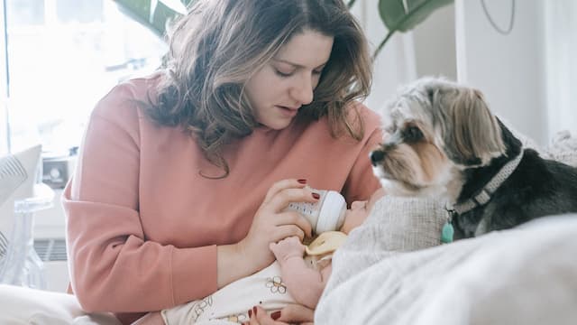 Royal canin hair and skin: the most popular pet food brand