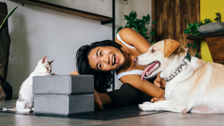 Pamper Your Pets Without Breaking the Bank: Here’s How