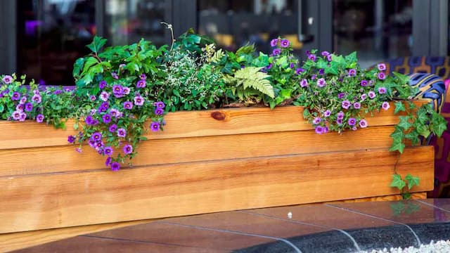 A Comprehensive Guide to Choosing the Best Planter Box
