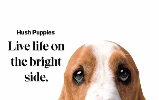 Hush Puppies with Love – Basset Hound Puppies