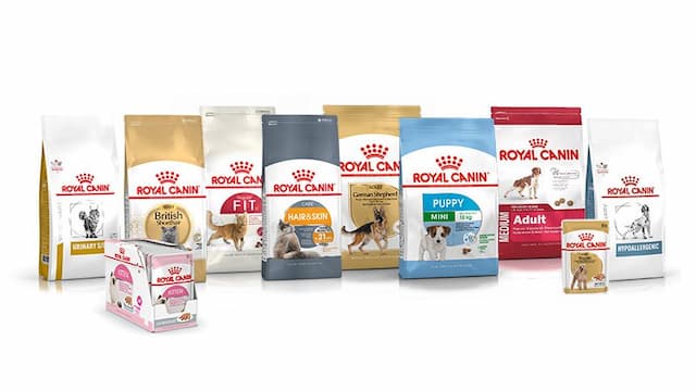 Royal Canin cat food helps your cat grow better