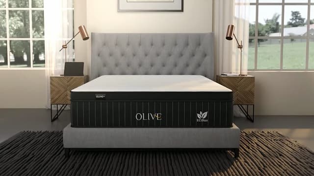 Ecolux Mattress Review | Why Do People Love It