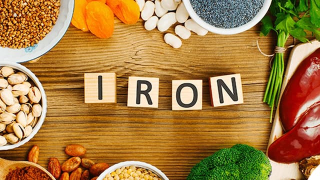 What Is The Role of Iron in The Human Body?
