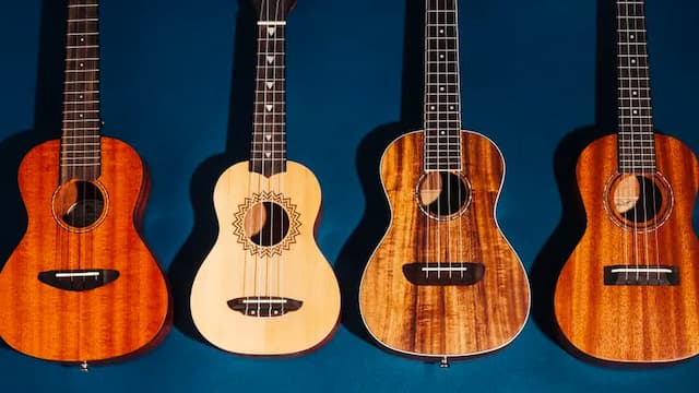 Ukulele: Check out Guitarlicious.my’s Vast Collection of Musical Instruments